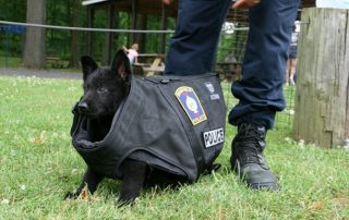 New Bethlehem Police Dog Contest
