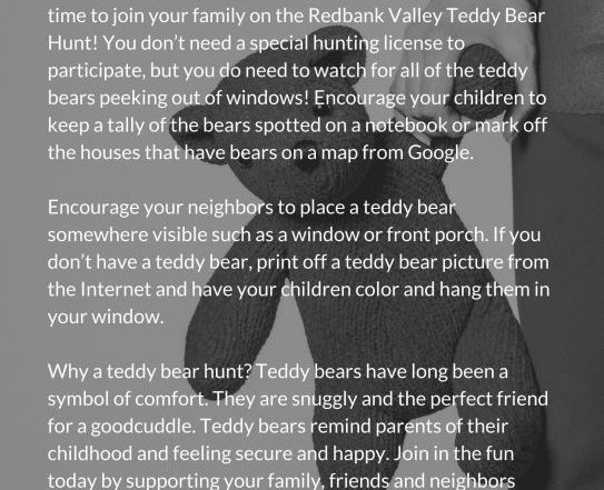 Teddy Bear Hunt - New Bethlehem PA 2020