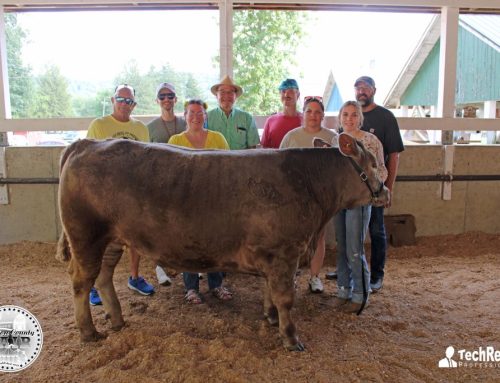 Church Donates 4-H Steer to Bless Local Community
