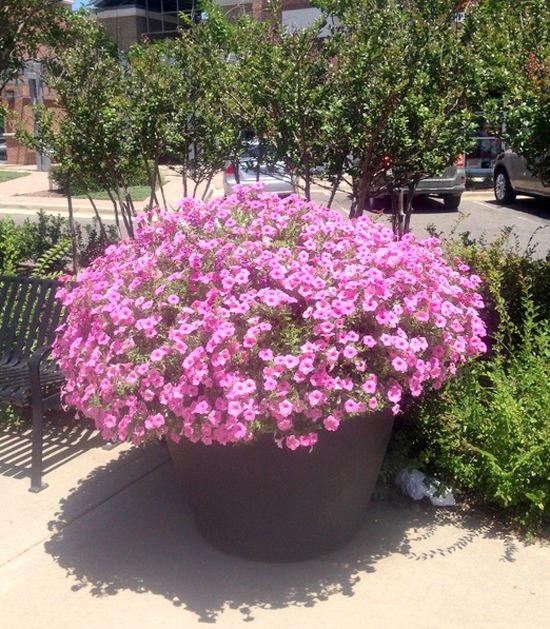 New Bethlehem Flower Planters
