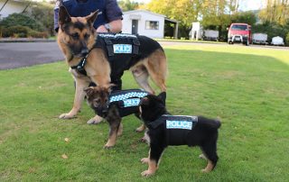 New Bethlehem Police Dog Contest