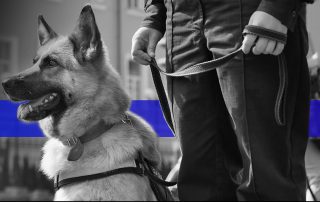 New Bethlehem Police Dog Contest
